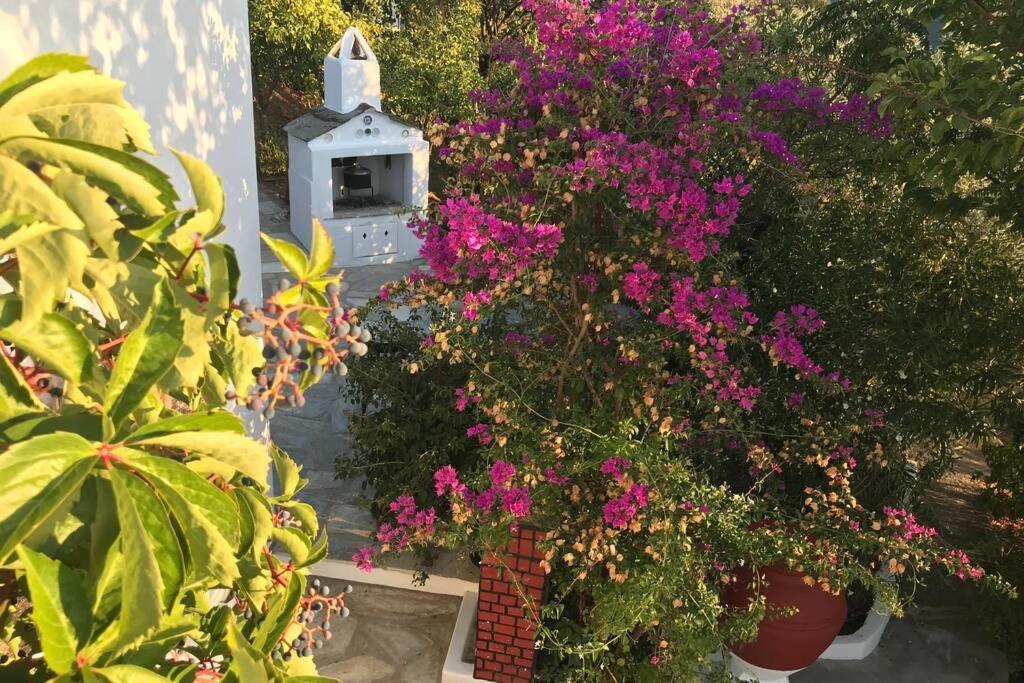Παναής & Μαρία / Panais & Maria Villa Скопелос Екстериор снимка